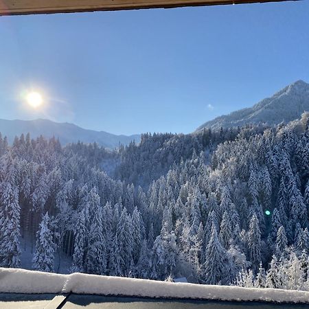 Wohnung Staufenblick Und Wohnung Firstblick Dornbirn Kültér fotó