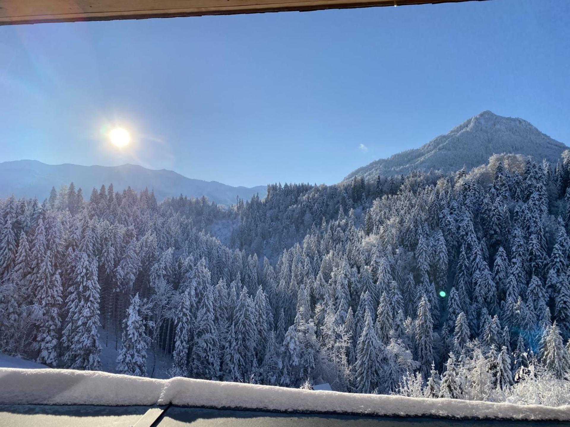 Wohnung Staufenblick Und Wohnung Firstblick Dornbirn Kültér fotó