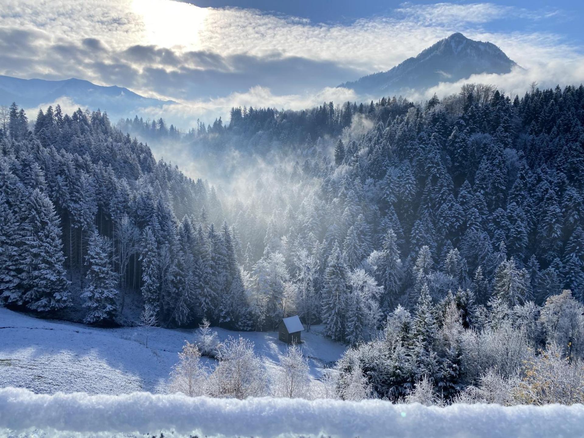 Wohnung Staufenblick Und Wohnung Firstblick Dornbirn Kültér fotó