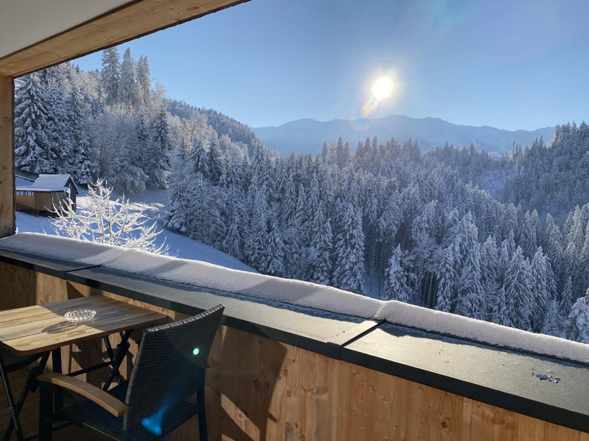 Wohnung Staufenblick Und Wohnung Firstblick Dornbirn Kültér fotó